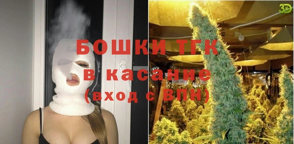 бошки Новодвинск
