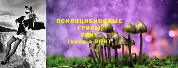 MDMA Premium VHQ Новозыбков