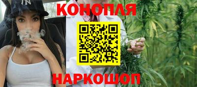 шишки Волгодонск