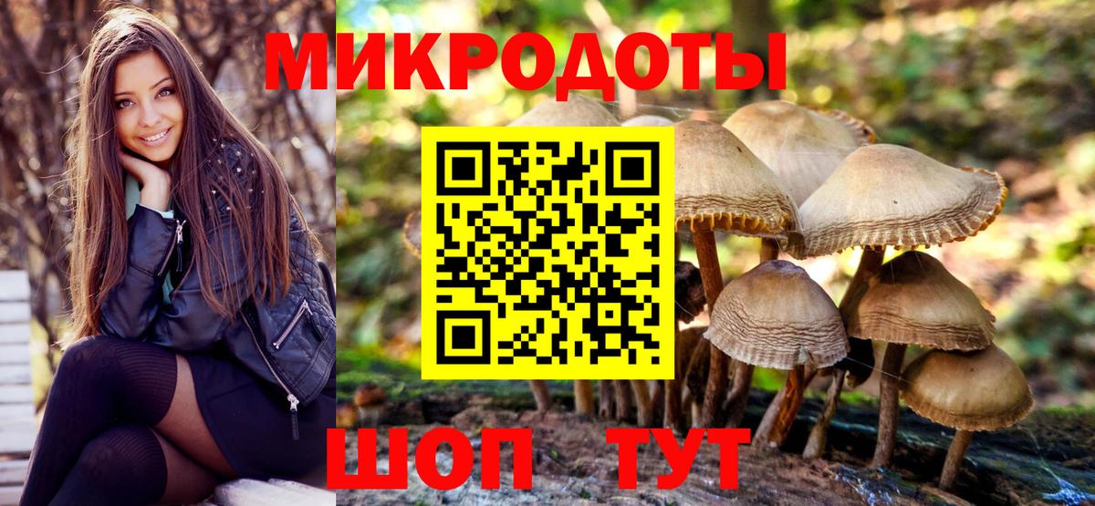 Псилоцибиновые грибы MAGIC MUSHROOMS Клин