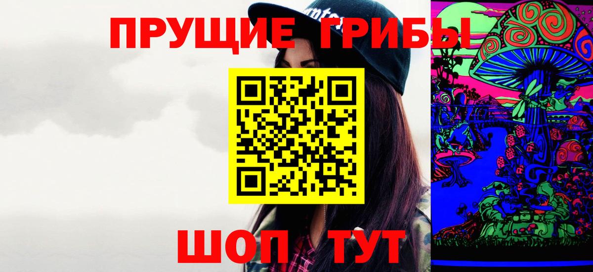 Клин  Псилоцибиновые грибы Psilocybe  Вход с VPN 